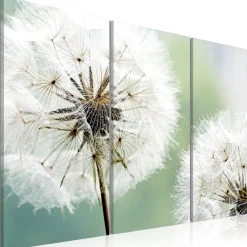 Akrylglastavla Arkiio Fluffy Dandelions