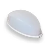 Bastulampa Harvia