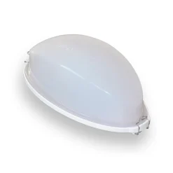 Bastulampa Harvia