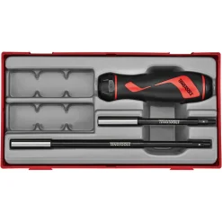 Bitsspärrskruvmejselsats Teng Tools TTRSD15