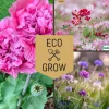 Blomfröer Eco Grow Blomsterkit Sommaräng - Svenska Trädgårdsblommor 3-pack