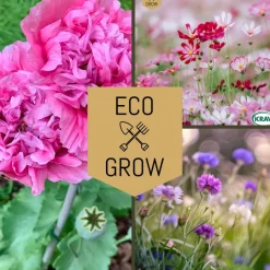 Blomfröer Eco Grow Blomsterkit Sommaräng - Svenska Trädgårdsblommor 3-pack