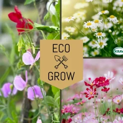 Blomfröer Eco Grow Doftande Trädgårdsblommor Kit 3-pack