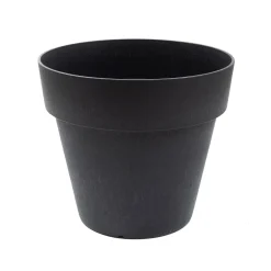 Blomkruka Recal Bariton