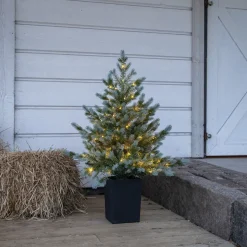 Bordsdekoration Star Trading GranGreyland95 cm 80Lb