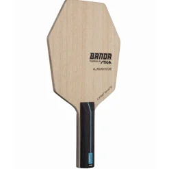 Bordtennisracket Stiga Sports Stomme Banda Allround Future Cybershape - Classic