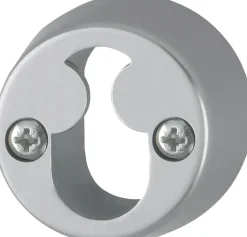 Cylinderring Swedoor Oval Rokoko