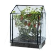 Drivhus Hortus Transparent Plast, Passar till Odlingskrage - 80x120cm, Höjd 110/130 cm