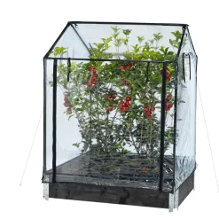 Drivhus Hortus Transparent Plast, Passar till Odlingskrage - 80x120cm, Höjd 110/130 cm