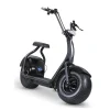 Elscooter Gardeney Fatbike 1000W