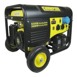 Elverk Champion Generators CPG6500E2 5,5kW 1-fas bensin med fjärrstart