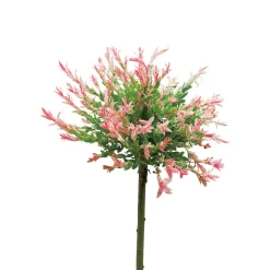Eukalyptusvide Omnia Garden Prydnadsträd 80-100 cm Höjd, Grönt & Rosa Bladverk