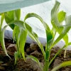 Fiberduk Jabo Agrimpex Agro-Marina 1,6x10 m Turkos