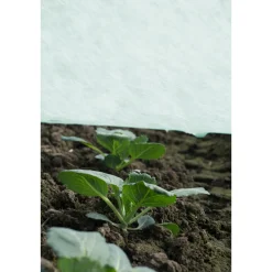 Fiberduk Jabo Agrimpex Agro-Marina 1,6x10 m Turkos
