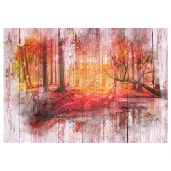 Fototapet Arkiio Autumnal Forest