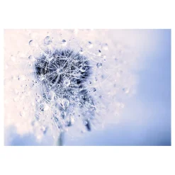 Fototapet Arkiio Etheric Morning