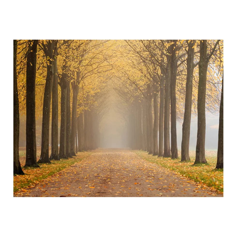Fototapet Arkiio Journey To The Unknown