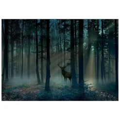 Fototapet Arkiio Mystical Forest Arkiio Third Variant