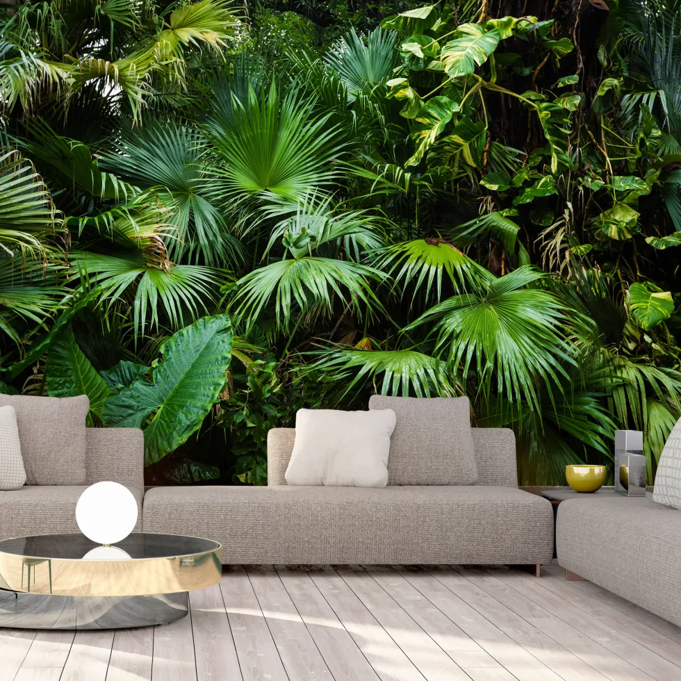 Fototapet Arkiio Självhäftande Sunny Jungle