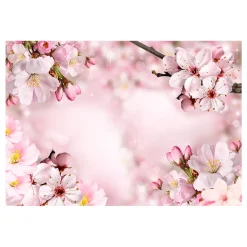 Fototapet Arkiio Spring Cherry Blossom