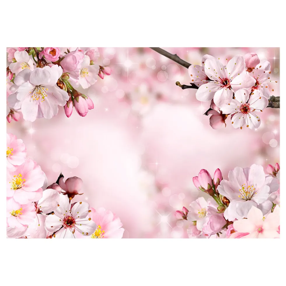 Fototapet Arkiio Spring Cherry Blossom