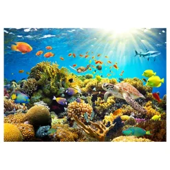 Fototapet Arkiio Underwater Land