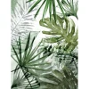 Fototapet Art For The Home Ren Natur Monstera 105400