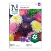 Frö Aster Nelson Garden Princess Mix