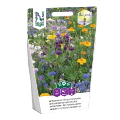 Frö Blommor Nelson Garden För nyttoinsekter