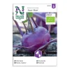Frö Kålrabbi Nelson Garden Azur-Star Organic