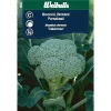 Frö Kål Weibulls Broccoli