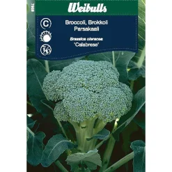 Frö Kål Weibulls Broccoli
