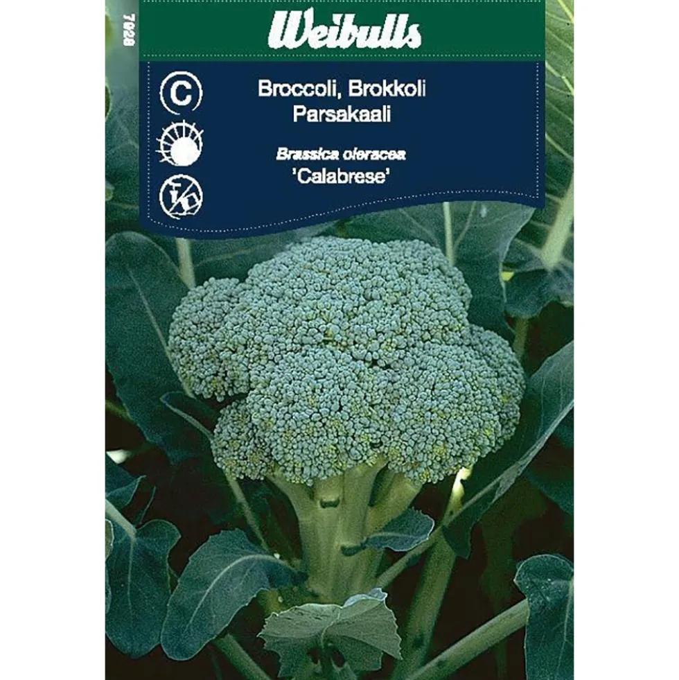 Frö Kål Weibulls Broccoli
