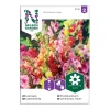 Frö Lejongap Nelson Garden Mix