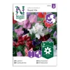 Frö Luktärt Nelson Garden Royal Mix