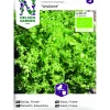 Frö Nelson Garden Sallat Frisée Wallone Organic