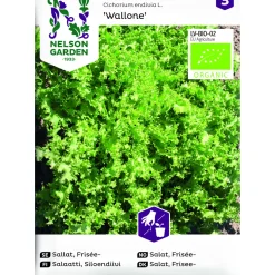 Frö Nelson Garden Sallat Frisée Wallone Organic