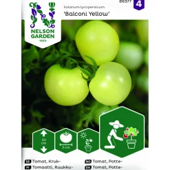 Frö Nelson Garden Tomat Balconi Yellow Kruktomat