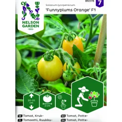 Frö Nelson Garden Tomat Funnyplums Orange F1 Kruktomat