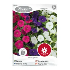 Frö Petunia Nelson Garden Picobella F1 Mini Mix