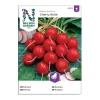 Frö Rädisa Nelson Garden Cherry Belle