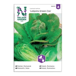 Frö Romersk sallat Nelson Garden Lobjoits Green Cos