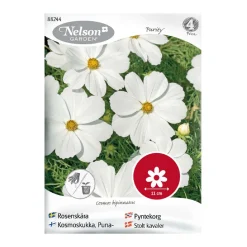 Frö Rosenskära Nelson Garden Purity Vit