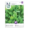 Frö Rucola Sandsenap Nelson Garden Wildfire™
