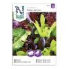 Frö Sallat Baby Leaf Nelson Garden Mix Såband