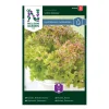 Frö Sallat Nelson Garden Bladbatavia Lollo Rossa