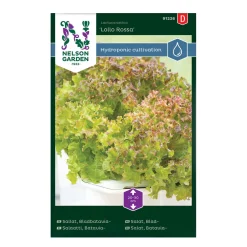 Frö Sallat Nelson Garden Bladbatavia Lollo Rossa