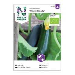 Frö Squash Nelson Garden Black Beauty Organic