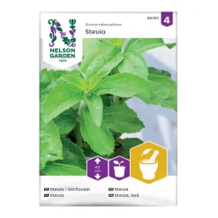 Frö Stevia Nelson Garden Sötflockel