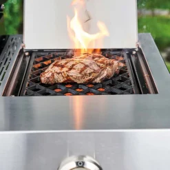 Gasolgrill Char-Broil Professional Pro S3